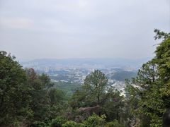 -火炉山森林公园