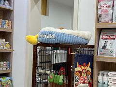 -四月宠物医院·猫专科·心脏专科·内科(转塘店)