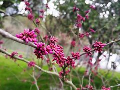 -艾溪湖湿地公园