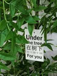 点击看大图 -变美丽半永久纹眉连锁·机器野生眉•洗眉