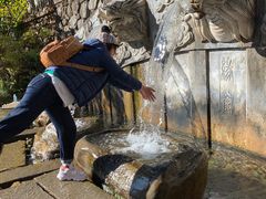 -蝴蝶泉公园