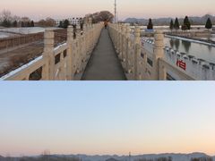 -东方巨龟苑景区