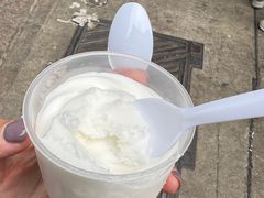 -洪馨椰子