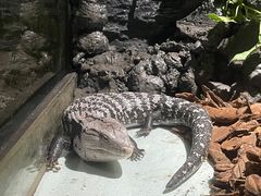 -顺德南宏海立方海洋公园