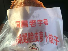 -半月镰胡姐脆皮萝卜饺子