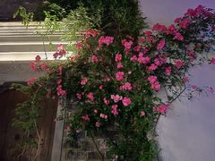 -老门东历史文化街区