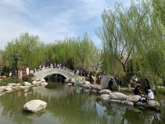 -西安青龙寺遗址景区