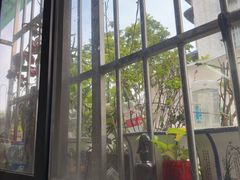 -荔湾湖公园