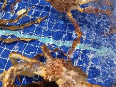 -海鲜潮·株洲海鲜集市(栗雨店)