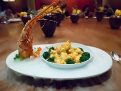 -广州富力君悦大酒店空中花园