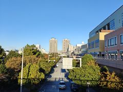 -台场海滨公园船码头