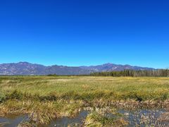 -野鸭湖国家湿地公园