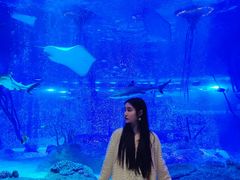 -沈阳海洋探索中心