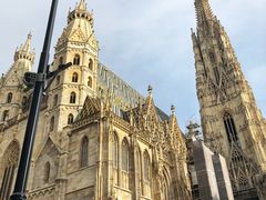 -斯蒂芬主教座堂(Stephansdom)
