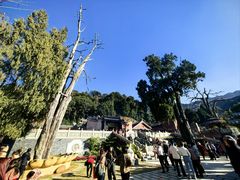 -灵光寺