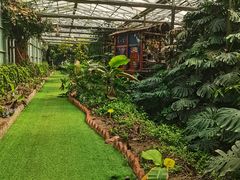 -呀路古热带植物园