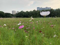 -河海大学(常州校区)