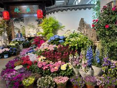-双季花艺园艺市场(浦东店)