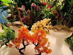 -五月罗马海鲜自助餐厅(陆家嘴店)