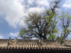 -胡氏古民居建筑