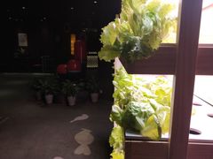 -满堂欢豆捞坊(美丽华大酒店店)