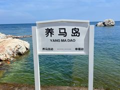 -养马岛旅游度假区