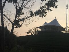 -帐篷客·溪龙茶谷度假酒店