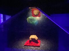 -吉林市博物馆