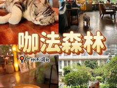 -咖法森林·咖啡  酒吧(天河店)