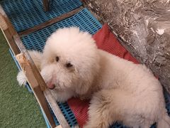 -MOJO密室逃脱(中街旗舰店)