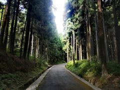 -山王坪喀斯特国家生态公园