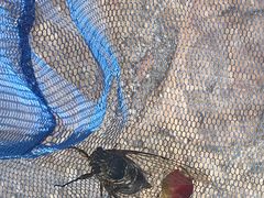 -碓臼峪自然风景区