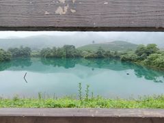 -龙坞茶村