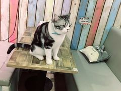 -小时光咖啡馆(开森度假森林店)