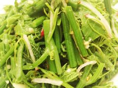 清炒丝瓜尖-乌兰湖畔草坪轻奢营地