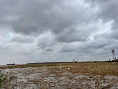 -上海吴淞炮台湾国家湿地公园