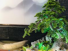 -鸽子侯·家宴·平价海鲜(市图书馆店)