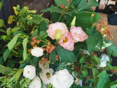 -长安记·大美陕菜(大族广场店)