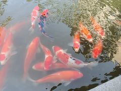 -南宁荔园维景国际酒店·荔园中餐厅