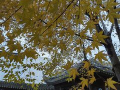 -秋霞圃