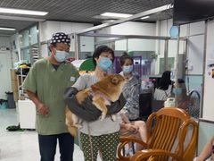 -达爱动物医院·犬猫分区·CT·复杂眼科(远洋山水分院)