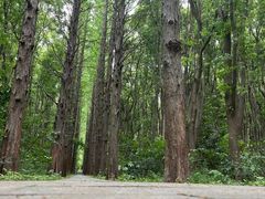 -同里国家湿地公园