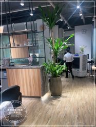 -Mentor Hair Salon