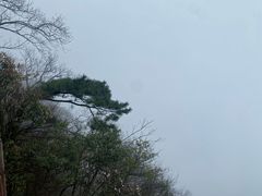 -萍乡武功山风景名胜区