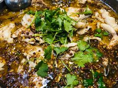 -农夫大盘鸡(经八路总店)