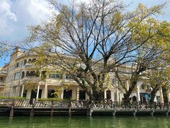 -民信老铺(华盖路店)