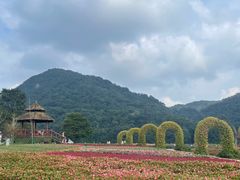 -广州市石门国家森林公园