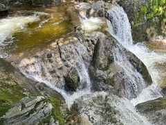 -牛背梁国家森林公园