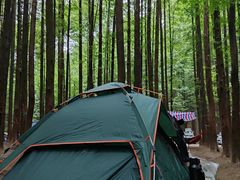 -山王坪喀斯特国家生态公园