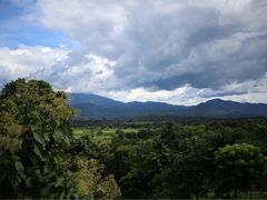 -黄色小屋